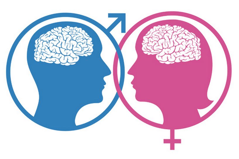 [Artigo Neuromarketing Político] Cérebro Masculino e Cérebro Feminino